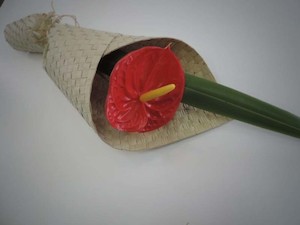 Red Anthurium in flax