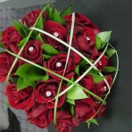 Red posy