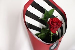 Flower: Fresh Single Red Rose