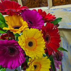 Flower: Jolly Gerberas