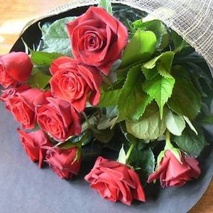 Flower: Twelve Red Roses Gift Wrapped