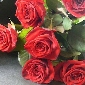 Flower: Six Red Roses Gift Wrapped