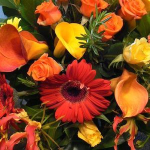 Flower: Brilliant Bright Bouquet