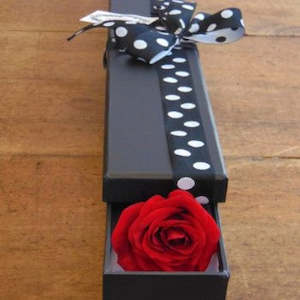 Single Boxed Rose