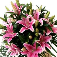 Pink Lily Bouquet