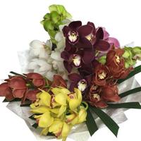 Orchid Bouquet