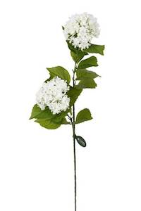 Viburnum Spray 2 Heads - White