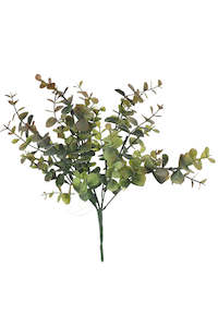 Gift: Mini Eucalyptus Bush