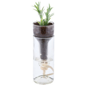 Self-Watering Bottle Planter