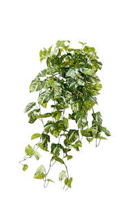 Gift: Variegated Pothos Bush Real Touch Central Stem