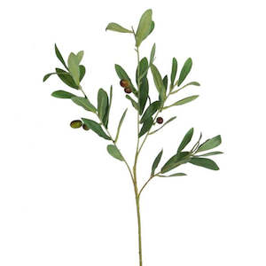 Gift: Corfu Olive Stem