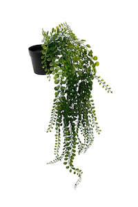 Pea Leaf Hanging Bush Potted