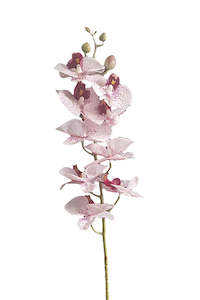 Gift: Real Touch Moth Orchid Pink/White Spot