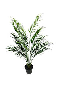 Areca Palm Tree Potted