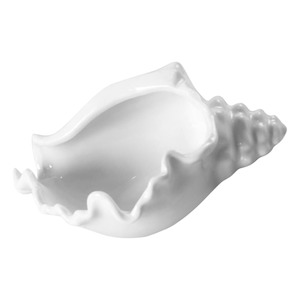 Conch Shell Bowl