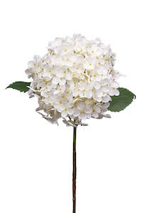 Annabelle Hydrangea 63cm Cream