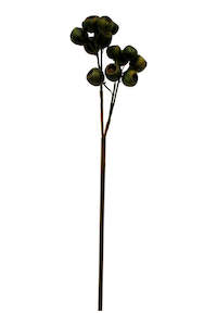 Gift: Eucalyptus Seed Pod 48cm