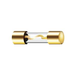 5AG Gold Fuses (20-60A)