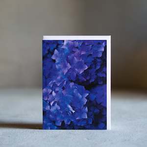 Greeting Cards: Floral Greeting Card | Hydrangeas