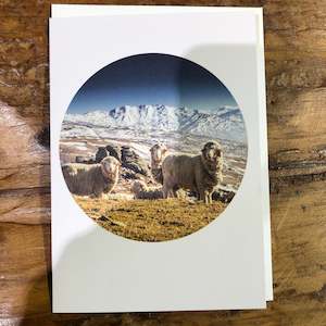 Greeting Cards: NZ Landscape Greeting Card |  Merino Sheep On Nevis Road