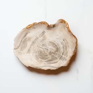 Petrified Wood: Petrified Wood Plate | 'B'