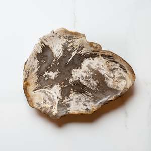 Petrified Wood Plate | 'H'