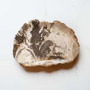 Petrified Wood: Petrified Wood Plate | 'G'