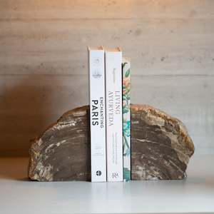 Petrified Wood: Petrified Wood Bookends |  Set (E)