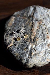 Citrine Studs Food for the Soul