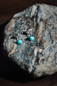 Turquoise Studs Food for the Soul