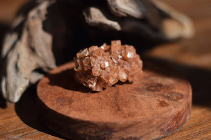 Occupational therapy: Aragonite Sputnik Food for the Soul