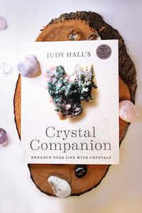 Occupational therapy: Crystal Companion Food for the Soul