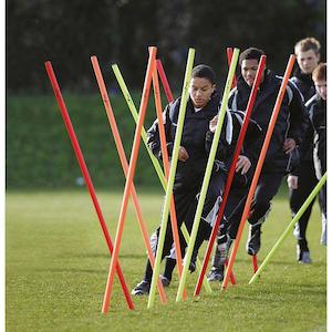 Precision Boundary/Agility Pole Set