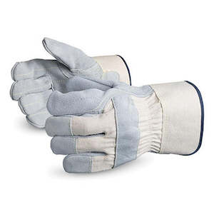 Work clothing: Economy Leather Work Glove - XL