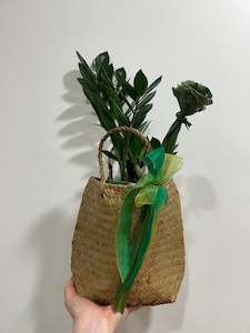 Flower: Kakariki kete / living plant