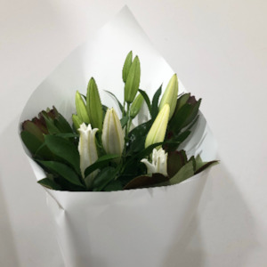 Flower: Lovely Scented Lilies