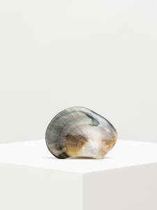 Shell | Small