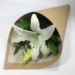 Florist: Single Lily Stem