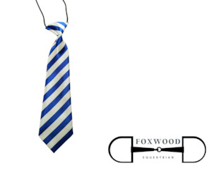 Child's Blue And White Striped Tie