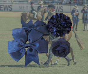 Leading Rein Set Navy