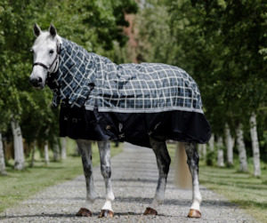 Horse Rugs Covers Accessories: Cavallino Badmington 300g Combo Rug