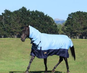 Horse Rugs Covers Accessories: Flair Econo Combo Rug 200g