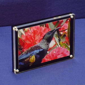 Magnetic Display Block