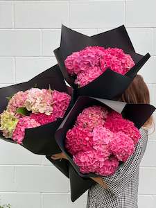 Florist: Hydrangea En Masse