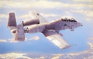 HobbyBoss 1/48 N/AW A-10A "THUNDERBOLT" II Plastic Model Kit