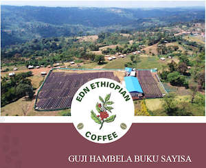 Ethiopia Guji Hambela Buku Sayisa Natural