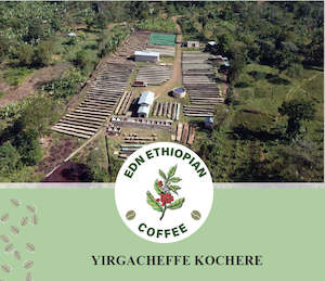 Ethiopia Yirgacheffe Gedio Kochere Washed