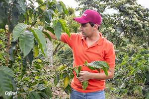 Coffee: Colombia Natural Gesha by Sebastian Gomez