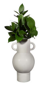 Household appliance: Sass & Belle: Grey Amphora Vase - Large