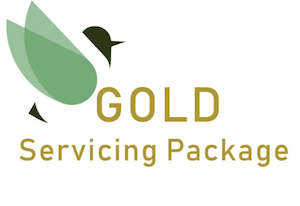 Bicycle and accessory: Gold Servicing Package